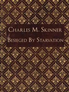 Baixar Besieged by starvation pdf, epub, eBook