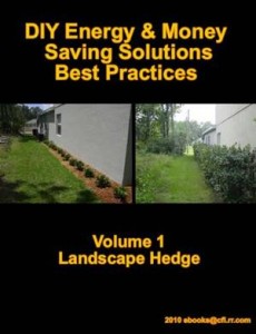 Baixar Diy energy & money saving solutions: best pdf, epub, eBook