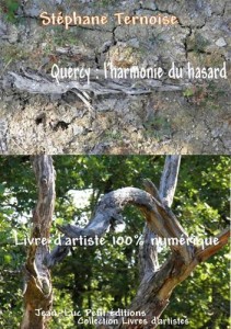 Baixar Quercy : l’harmonie du hasard pdf, epub, eBook