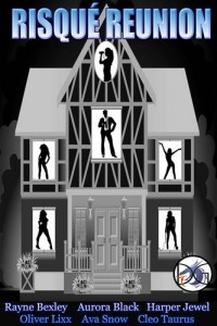 Baixar Risque reunion pdf, epub, eBook