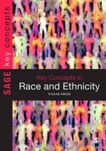 Baixar Key concepts in race and ethnicity pdf, epub, eBook