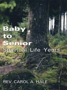 Baixar Baby to Senior Spiritual Life Years pdf, epub, eBook