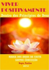 Baixar VIVER POSITIVAMENTE Dentro dos Princípios de Deus pdf, epub, eBook