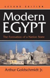 Baixar Modern Egypt: The Formation Of A Nation-state pdf, epub, eBook