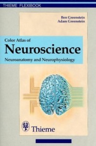 Baixar Color Atlas of Neuroscience: Neuroanatomy and Neurophysiology pdf, epub, eBook