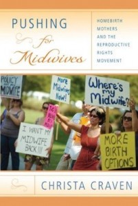 Baixar Pushing for Midwives: Homebirth Mothers and the Reproductive Rights Movement pdf, epub, eBook