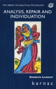 Baixar Analysis, Repair and Individuation pdf, epub, eBook