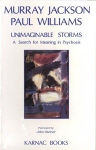 Baixar Unimaginable Storms: A Search for Meaning in Psychosis pdf, epub, eBook