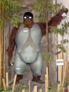 Baixar FREAKS, UMA EXPERIÊNCIA PARA LÁ DE NORMAL pdf, epub, eBook