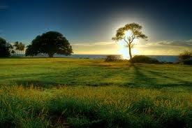 Baixar MATUTAGENS pdf, epub, eBook