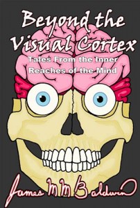 Baixar Beyond the visual cortex; tales from the inner pdf, epub, eBook