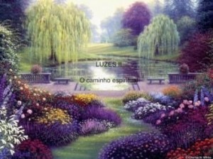 Baixar LUZES II – O CAMINHO ESPIRITUAL pdf, epub, eBook
