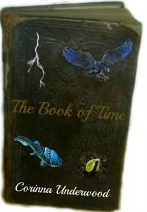 Baixar Book of time, the pdf, epub, eBook