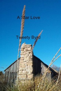 Baixar Star love, a pdf, epub, eBook