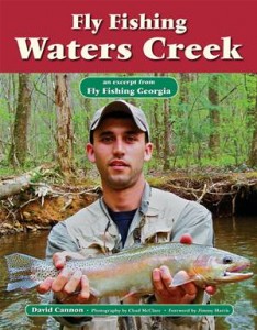 Baixar Fly fishing waters creek pdf, epub, eBook