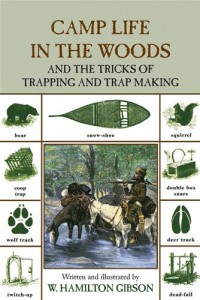 Baixar Camp life in the woods, 2nd pdf, epub, eBook