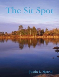 Baixar Sit spot, the pdf, epub, eBook