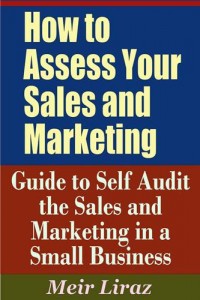 Baixar How to assess your sales and marketing: guide to pdf, epub, eBook