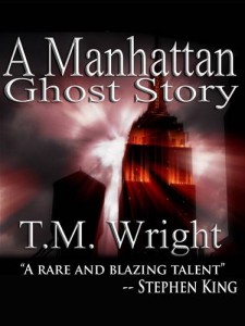 Baixar Manhattan ghost story, a pdf, epub, eBook