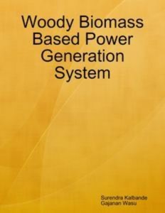 Baixar Woody biomass based power generation system pdf, epub, eBook