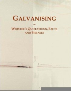 Baixar Galvanising: Webster¿s Quotations, Facts and Phrases pdf, epub, eBook