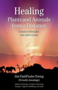 Baixar Healing Plants and Animals from a Distance: Curative Principles and Applications pdf, epub, eBook