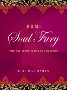 Baixar Rumi: Soul Fury pdf, epub, eBook