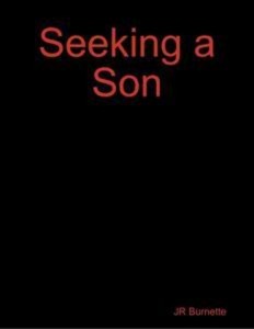 Baixar Seeking a son pdf, epub, eBook