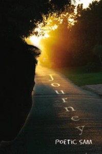 Baixar Journey pdf, epub, eBook