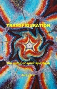 Baixar TRANSFIGURATION: the union of spirit and flesh pdf, epub, eBook