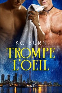 Baixar Trompe l’oeil pdf, epub, eBook