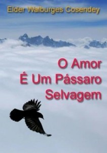 Baixar O Amor é Um Pássaro Selvagem pdf, epub, eBook