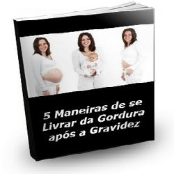 Baixar 5 Maneiras De Se Livrar Da Gordura Após A Gravidez pdf, epub, eBook