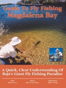 Baixar Guide to fly fishing magdalena bay pdf, epub, eBook