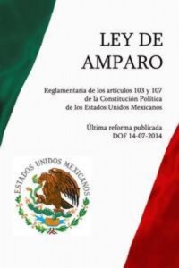 Baixar Ley de amparo, reglamentaria de los articulos pdf, epub, eBook