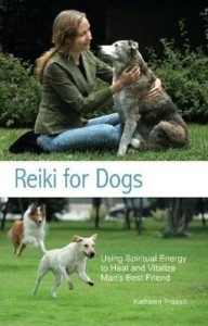 Baixar Reiki for Dogs: Using Spiritual Energy to Heal and Vitalize Man's Best Friend pdf, epub, eBook
