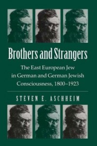 Baixar Brothers And Strangers: The East European Jew in German and German Jewish Consciousness, 1800¿1923 pdf, epub, eBook