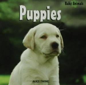 Baixar Puppies/Cachorros pdf, epub, eBook