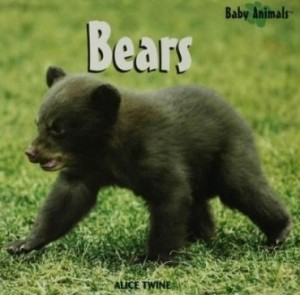 Baixar Bears pdf, epub, eBook
