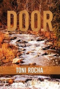 Baixar Door pdf, epub, eBook