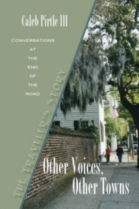 Baixar Other Voices, Other Towns: The Traveler's Story pdf, epub, eBook