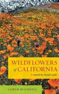 Baixar Wildflowers of California: A Month-by-Month Guide pdf, epub, eBook