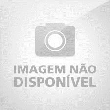 Baixar Troublemaker pdf, epub, eBook