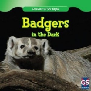 Baixar Badgers in the Dark pdf, epub, eBook