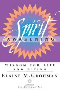 Baixar Spirit Awakening pdf, epub, eBook