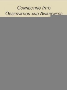 Baixar Connecting Into Observation and Awareness pdf, epub, eBook