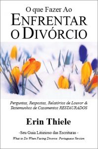 Baixar Enfrentando o Divórcio pdf, epub, eBook