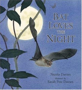 Baixar Bat loves the night pdf, epub, eBook