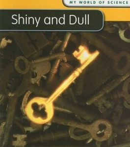 Baixar Shiny and dull pdf, epub, eBook