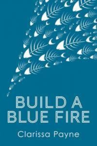Baixar Build a blue fire pdf, epub, eBook